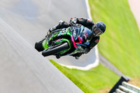 PJ-Motorsport-Photography-2020;anglesey;brands-hatch;cadwell-park;croft;donington-park;enduro-digital-images;event-digital-images;eventdigitalimages;mallory;no-limits;oulton-park;peter-wileman-photography;racing-digital-images;silverstone;snetterton;trackday-digital-images;trackday-photos;vmcc-banbury-run;welsh-2-day-enduro